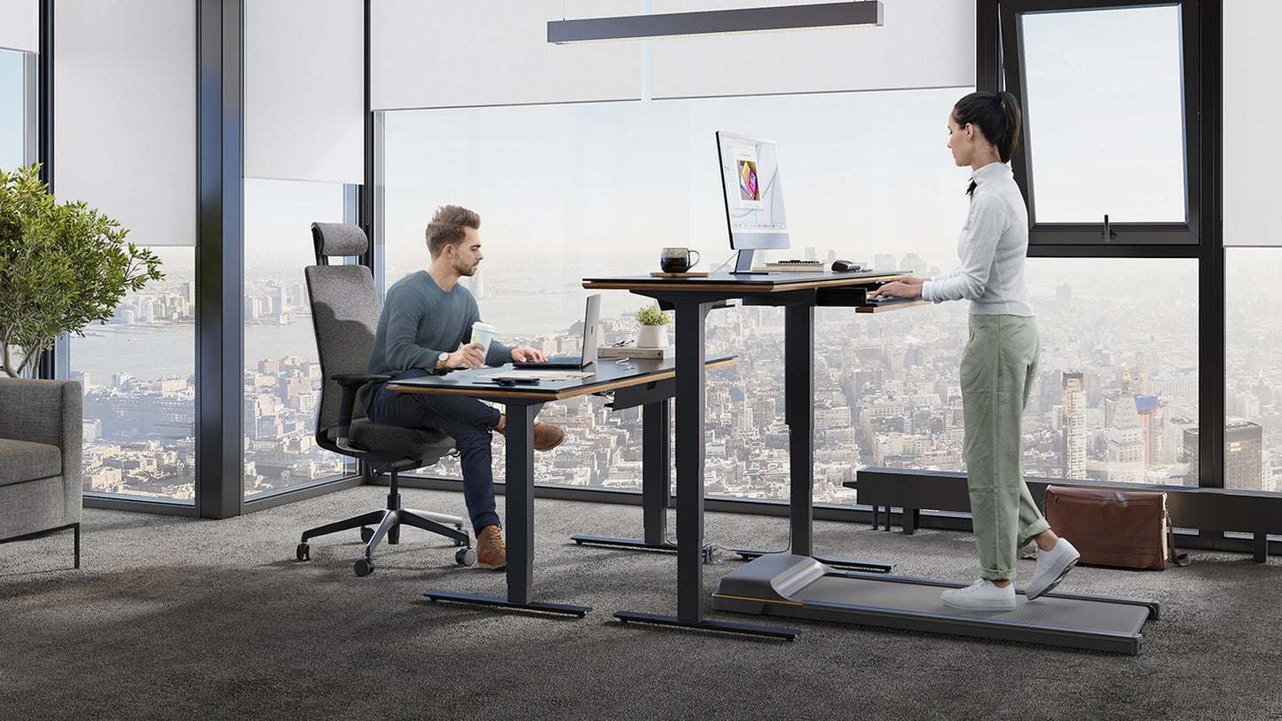 BDi Sequel 20® 6151 Sit+Stand Desk | 60"x24"