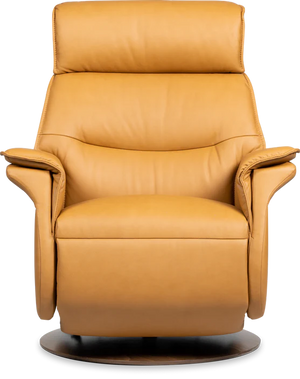 IMG Sedona Recliner Chair Collection