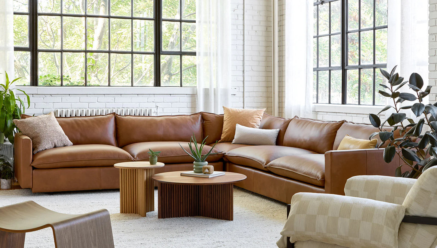 Gus Modern Sola Bi-Sectional