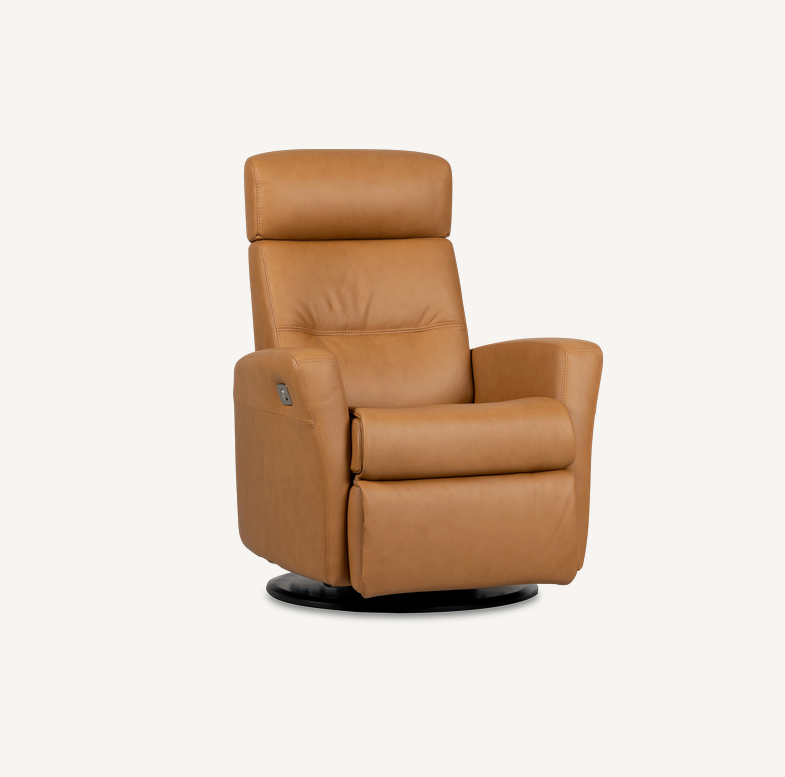 Divani Power & Power+Lumbar Relaxer Chair Collection by IMG Comfort