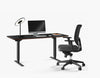 Sequel 20 Lift Standing Desk by BDi